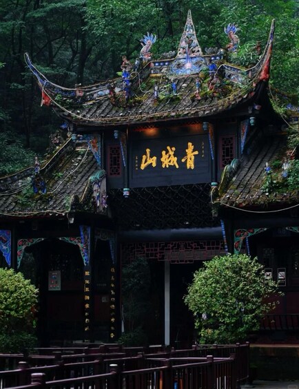 From Chengdu by Train: Mt.Qingcheng Day Trip with Guide 1