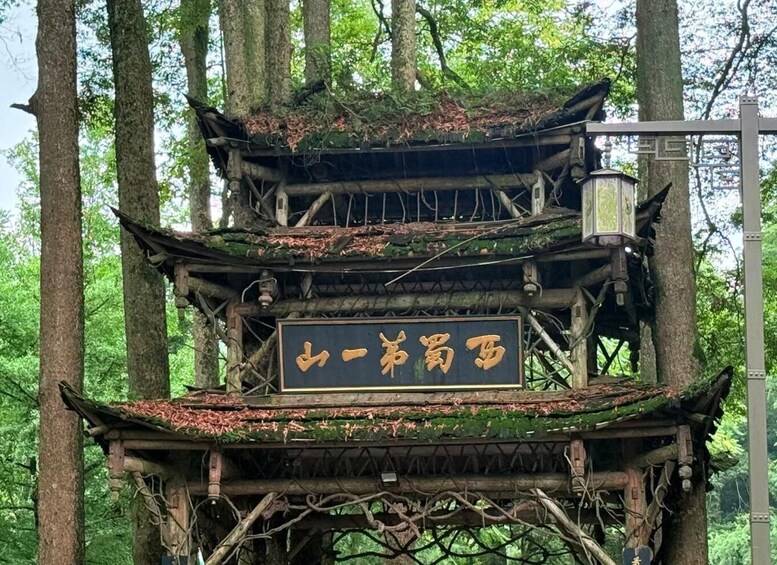 Picture 6 for Activity From Chengdu by Train: Mt.Qingcheng Day Trip with Guide 4
