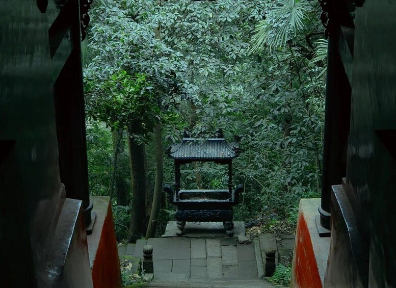 Picture 4 for Activity From Chengdu by Train: Mt.Qingcheng Day Trip with Guide 2