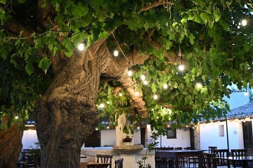 A tree with hanging lights, outdoor seating, and a stone fountain. 3