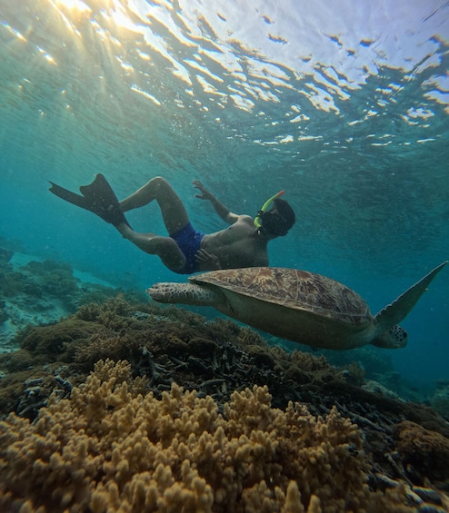A person snorkeling underwater with a sea turtle. 2