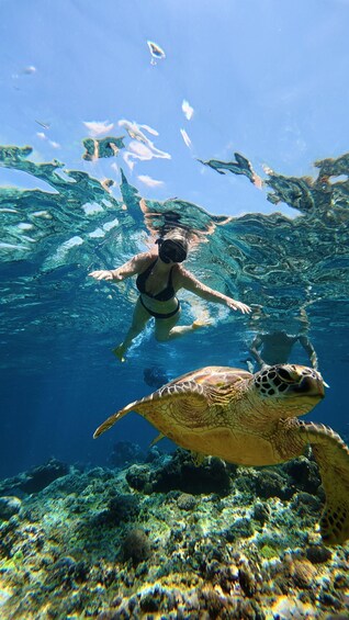 Picture 1 for Activity Gili Islands: Private Snorkeling Trip with Glass-Bottom Boat 4