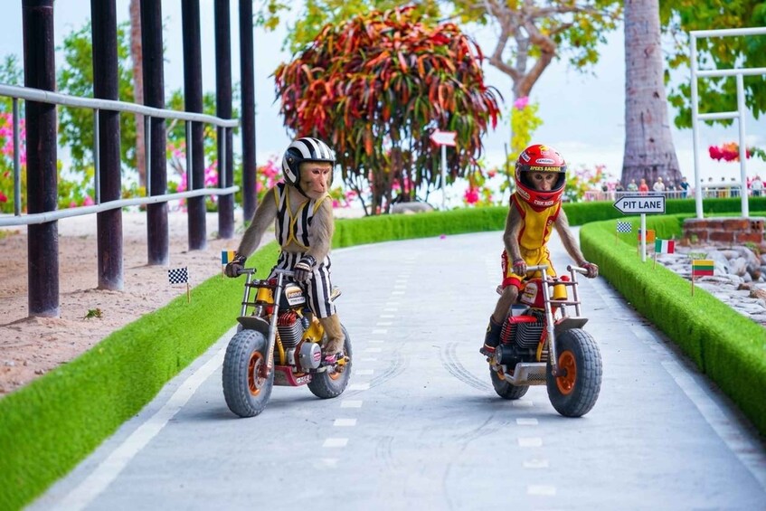 Two people on miniature motorcycles on a paved road with a sign reading 'PITLANE' and flags of Italy and Lithuania. 2