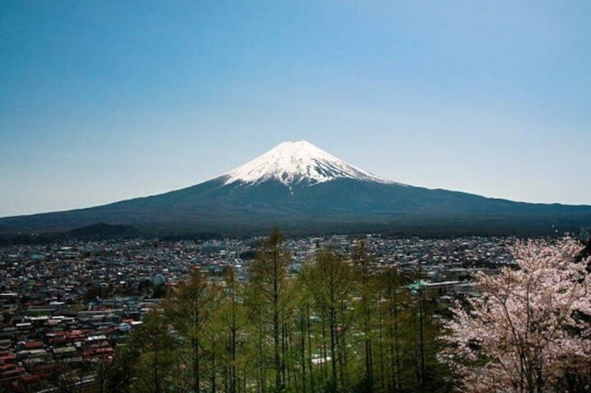 Mount Fuji Full Day Sightseeing Tour from Tokyo 3