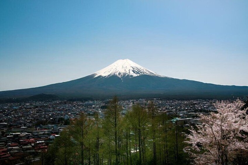 Mount Fuji Full Day Sightseeing Tour from Tokyo 2