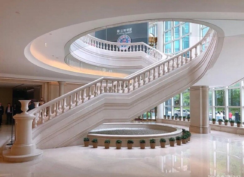 A grand spiral staircase with a glass railing, surrounded by potted plants, in a spacious indoor area with large windows. 2