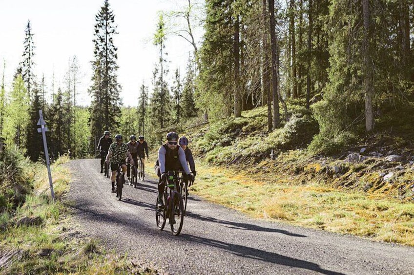 A group of cyclists on a gravel road surrounded by trees. 2
