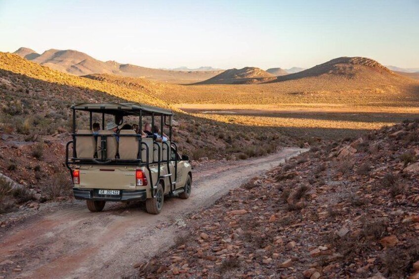 Aquila Safari & Traditional 'braai' lunch on Wine Farm Day Tour 2