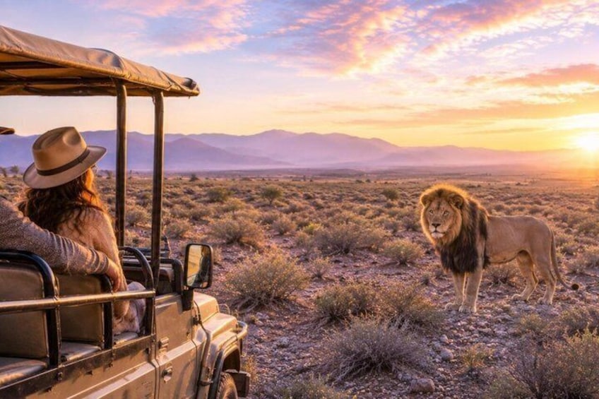 Aquila Safari Day Tour & Traditional 'Braai' Wine Farm Lunch 1