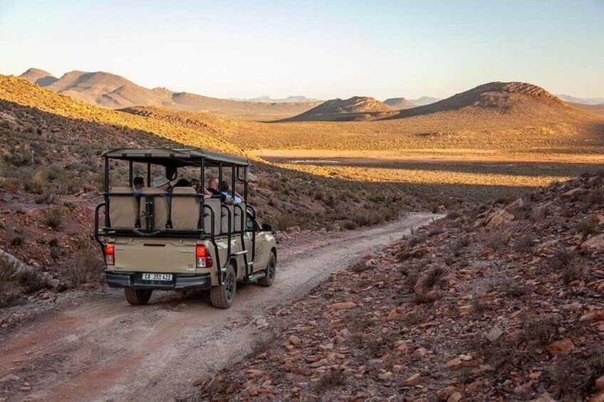 Aquila Safari Day Tour & Traditional BBQ Wine Farm Lunch 2