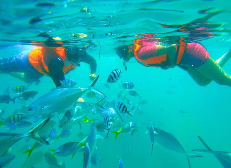 Picture 1 for Activity Kota Kinabalu: Manukan and Sapi Island Snorkeling with Lunch 2