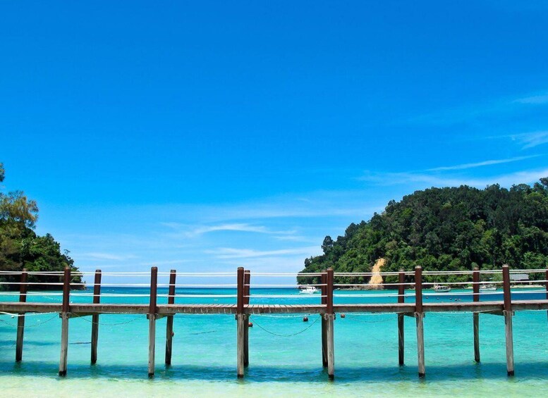 Kota Kinabalu: Manukan and Sapi Island Snorkeling with Lunch 1