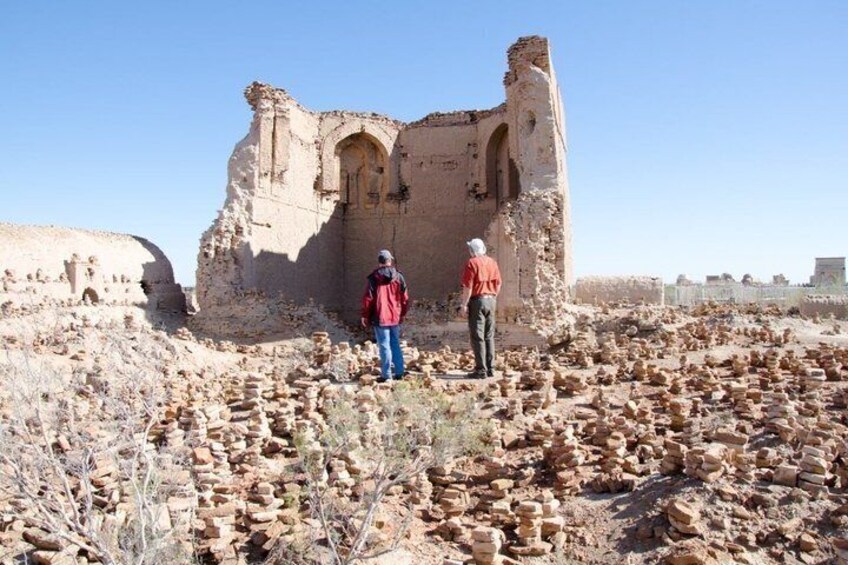 Muynak Ship Graveyard and Ancient Mizdakhan 4