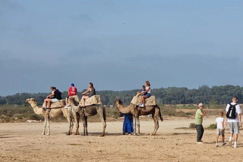 Agadir Camel Riding Tour with Coco Polizzi Medina Ticket 2