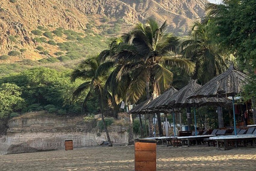 A beach with palm trees, a rocky hillside, and thatched-roof structures. 5