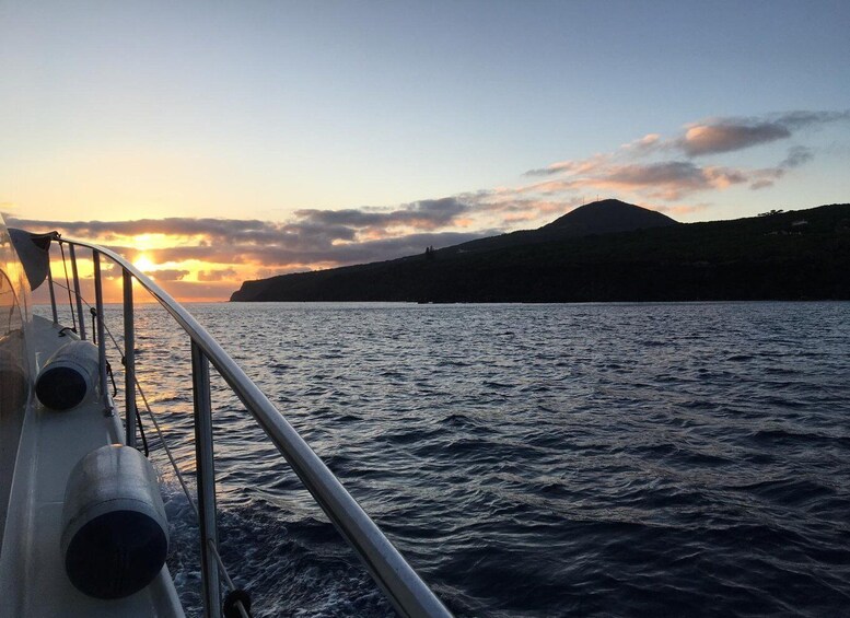 Picture 4 for Activity Sunset yacht tour with food and wine tasting. 4