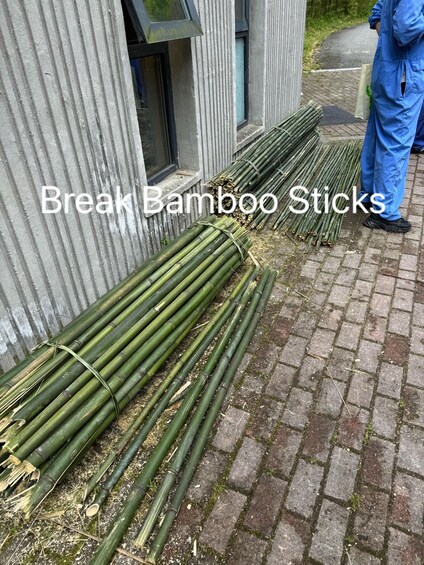 Bambúes colocados sobre pavimento de ladrillo, junto a una pared de metal corrugado. 2