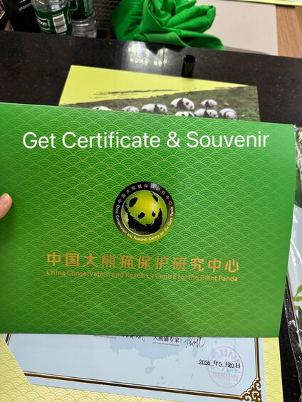 Certificado con logotipo de panda y texto en chino e inglés. 5