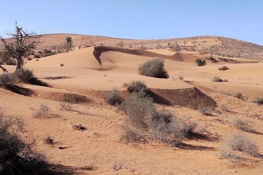 4x4 Jeep Safari in Agadir Mini Sahara and Berber Lunch 4