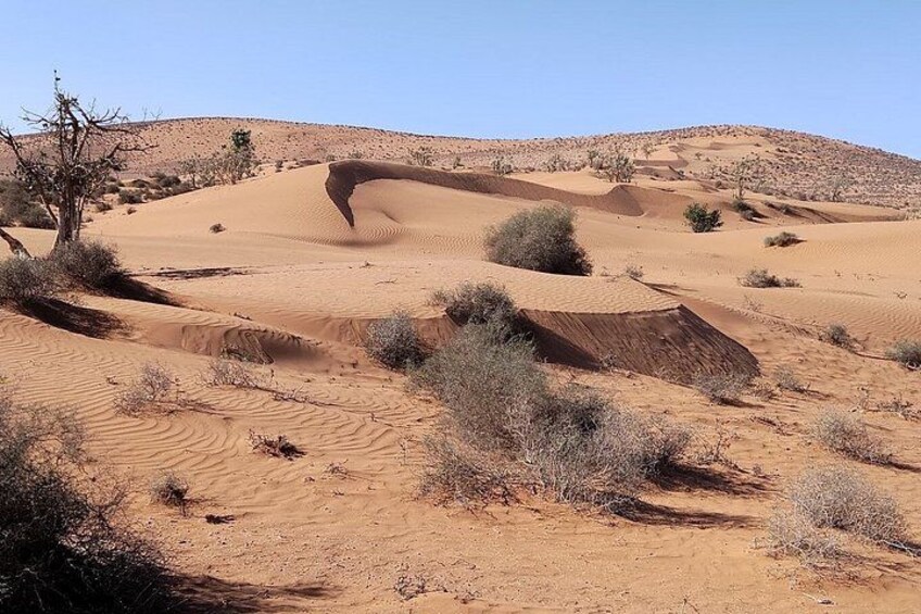 4x4 Jeep Safari in Agadir Mini Sahara and Berber Lunch 3