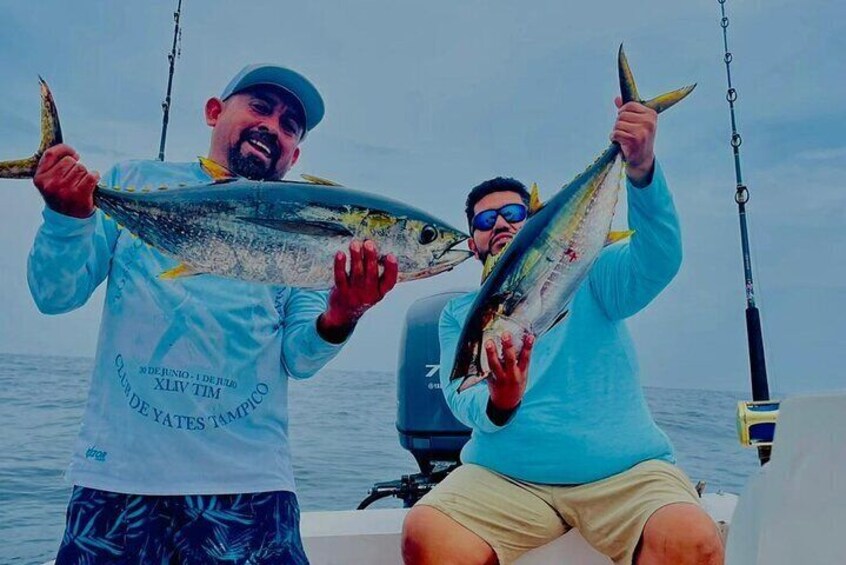 Tuna Time 2