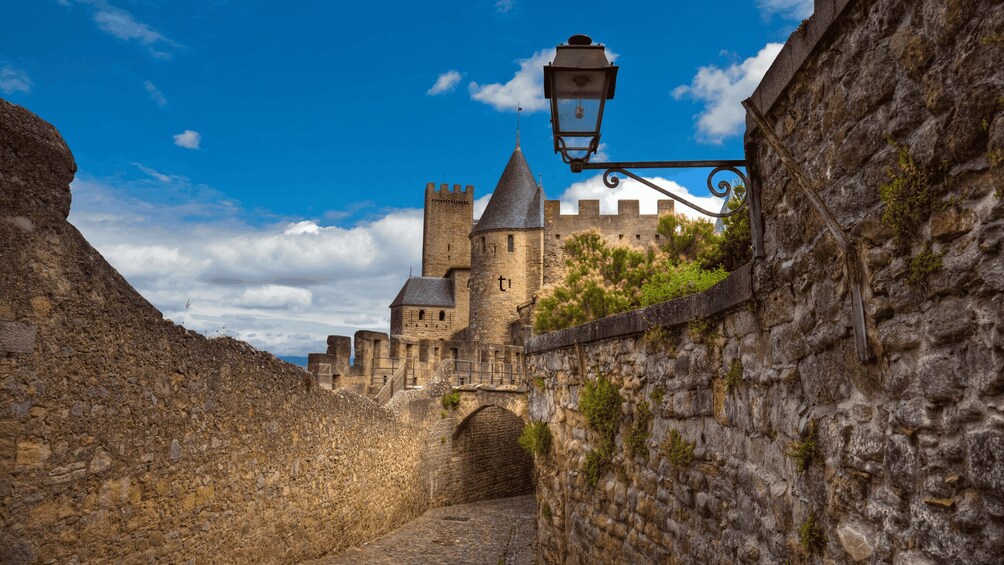 Carcassonne: Unusual Medieval-themed walking tour of the town 1