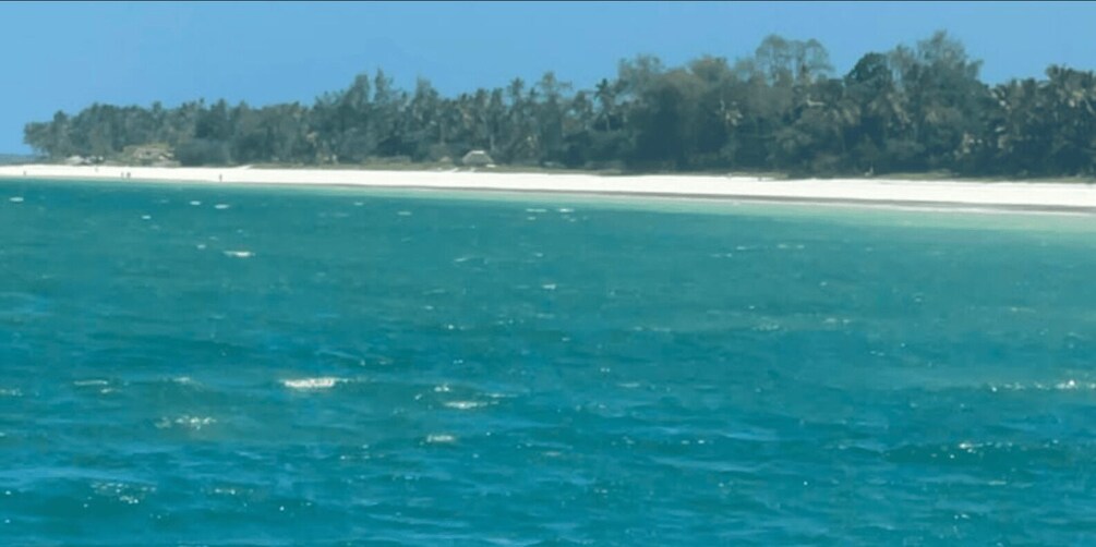 Picture 3 for Activity Mombasa to Diani full day snorkeling, beach and sunset tour 3