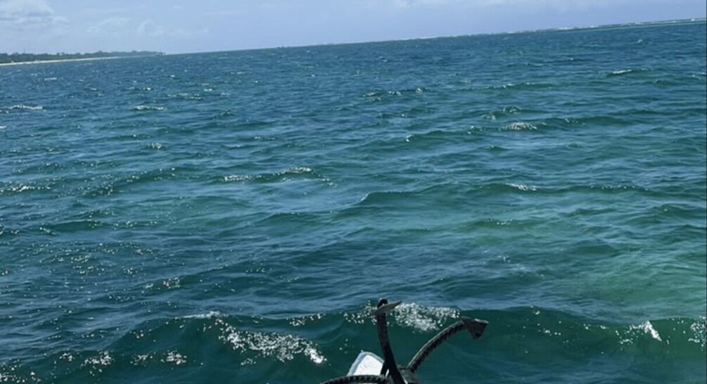 Picture 6 for Activity Mombasa to Diani full day snorkeling, beach and sunset tour 5