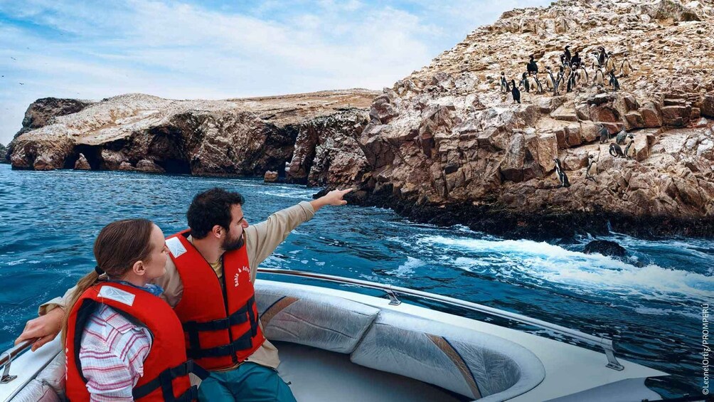 Un bote con dos personas usando chalecos salvavidas, señalando pingüinos en una costa rocosa. 2