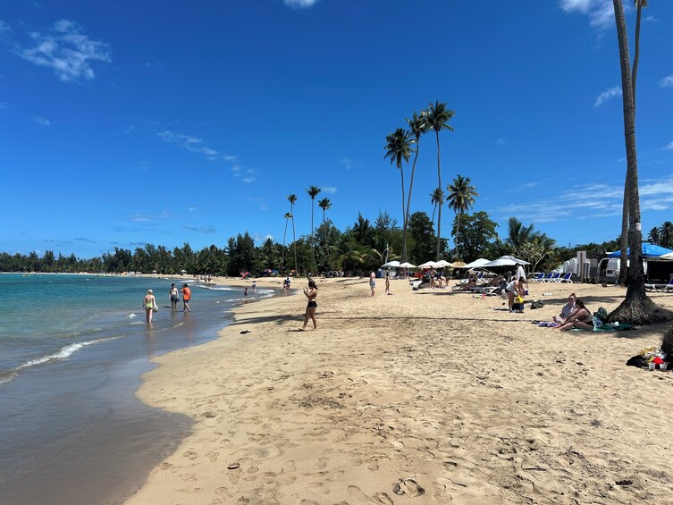 A beach with palm trees, people walking, and beach umbrellas. 2