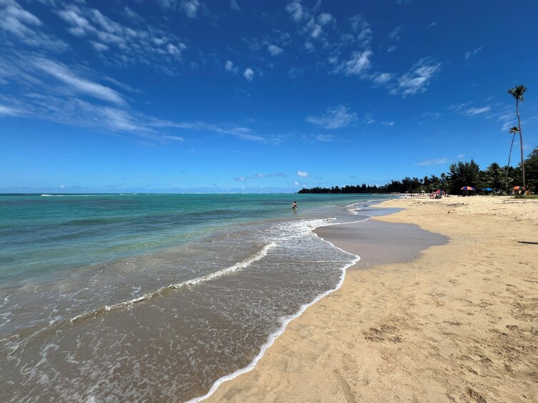 A beach with clear turquoise water, a sandy shore, and a line of palm trees in the background. 4