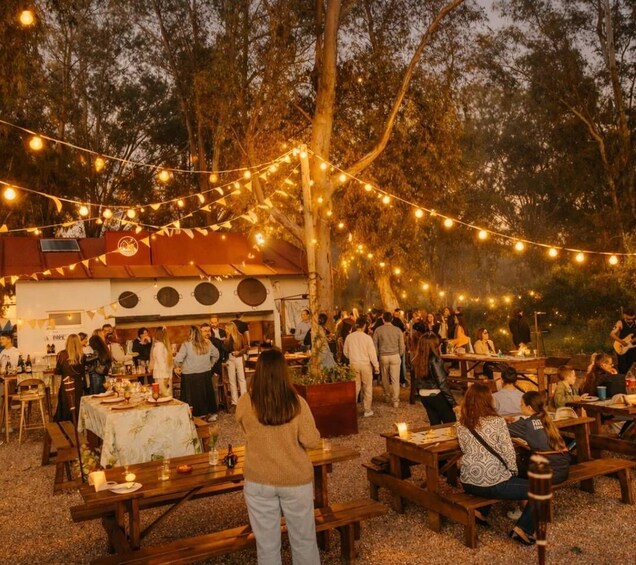 Picture 2 for Activity Eclipse Albufera, Valencia — Viewing + Paella & Drinks, Dj. 5