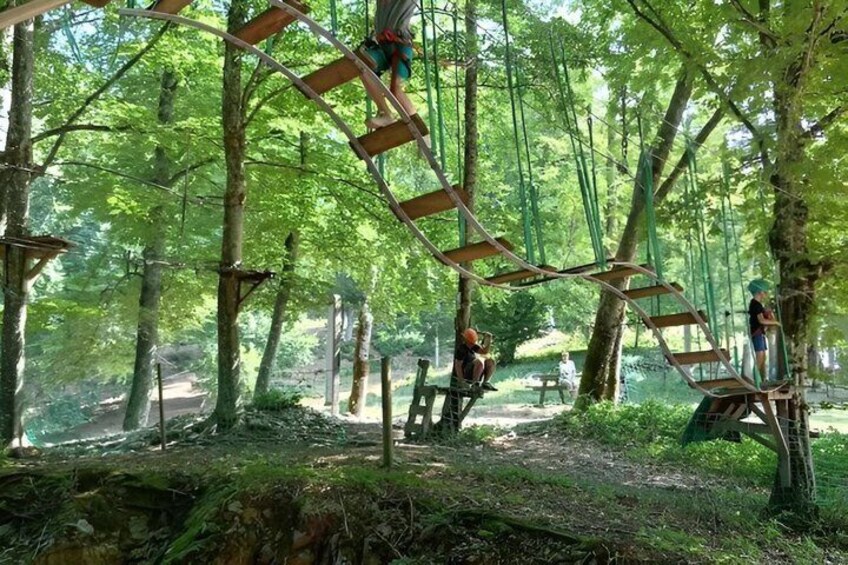 Tree top Adventure at Tamié Fort 5