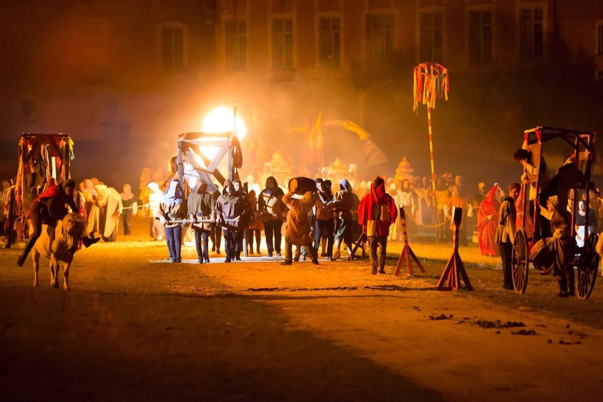 Picture 3 for Activity Château de Saint-Fargeau: Entry Ticket - Historical Show 4
