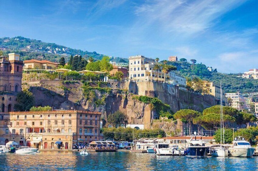 Pompeii Ruins and Mount Vesuvius Volcano Tour from Rome 4
