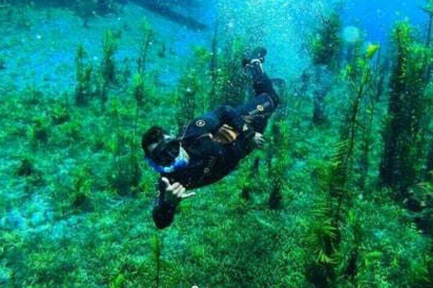 Beautiful : Snorkeling at the Blue River Fervedouro 1