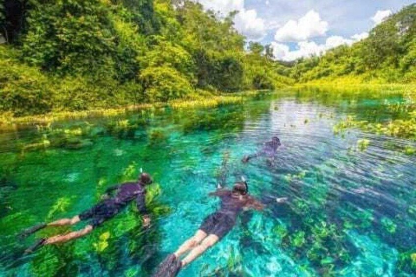 Beautiful : Snorkeling at the Blue River Fervedouro 3