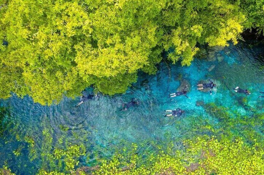 Beautiful : Snorkeling at the Blue River Fervedouro 2