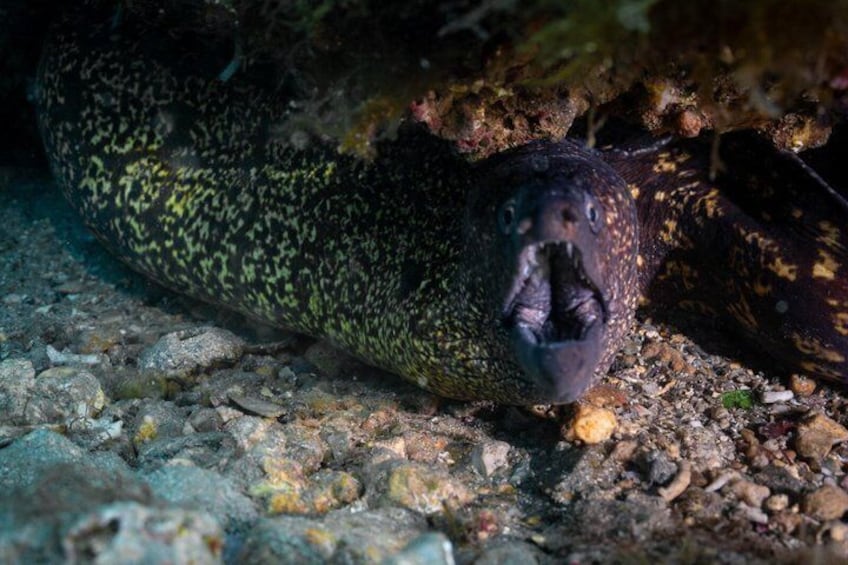 Giardini Naxos Taormina Diving in the depths of Isolabella 3