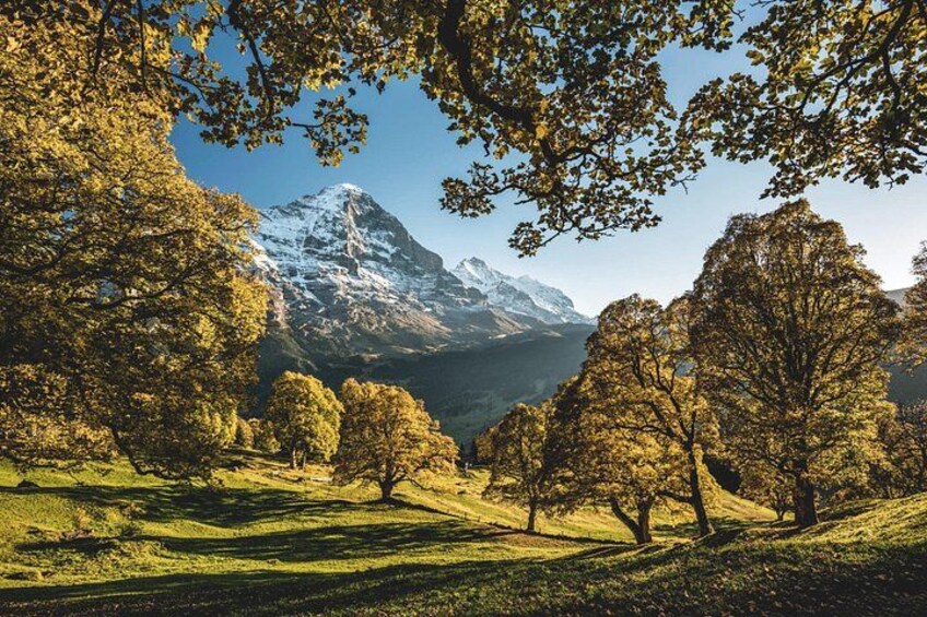 A mountainous landscape with trees and a snow-capped peak. 5
