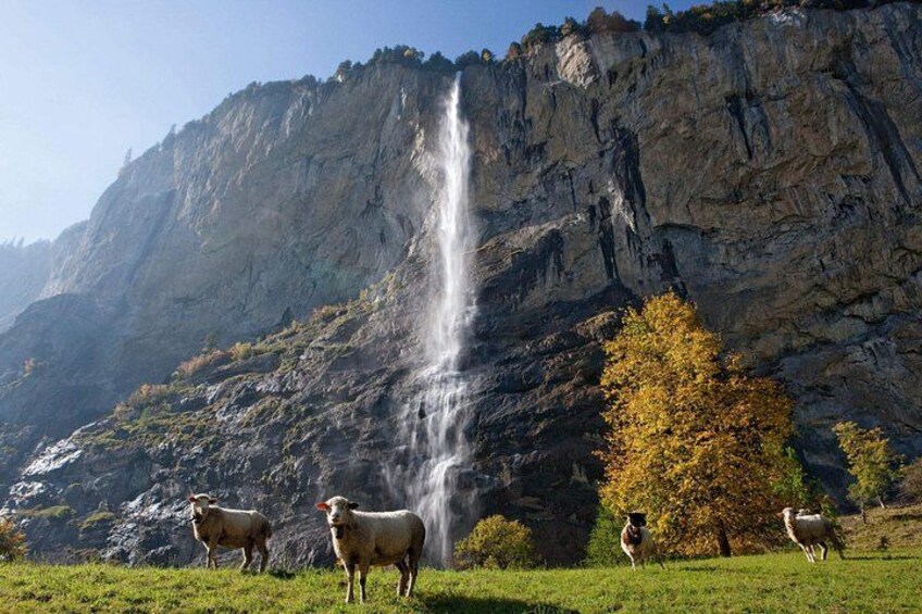 A waterfall, rocky cliffs, and grazing sheep. 3