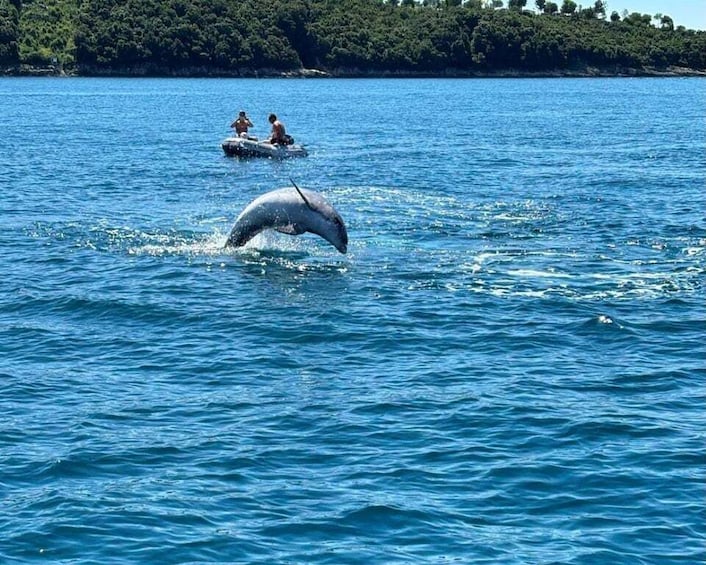 A dolphin jumping out of the water with people on a boat in the background. 1