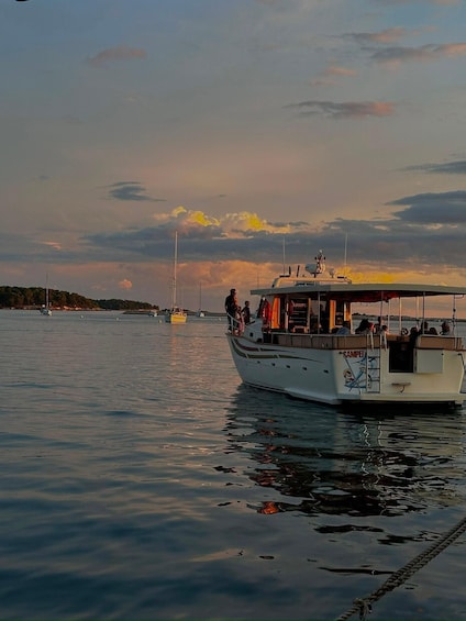 A boat with people on board, calm water, and sailboats in the distance. 2
