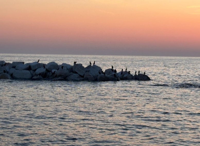A rocky outcrop with birds perched on it, overlooking a calm sea at sunset. 3