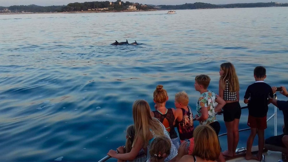 A group of people on a boat watching dolphins in the water. 5