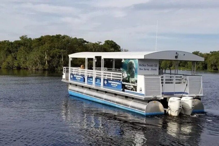 1 Hr St. Johns River Nature Cruise at Blue Spring State Park 5
