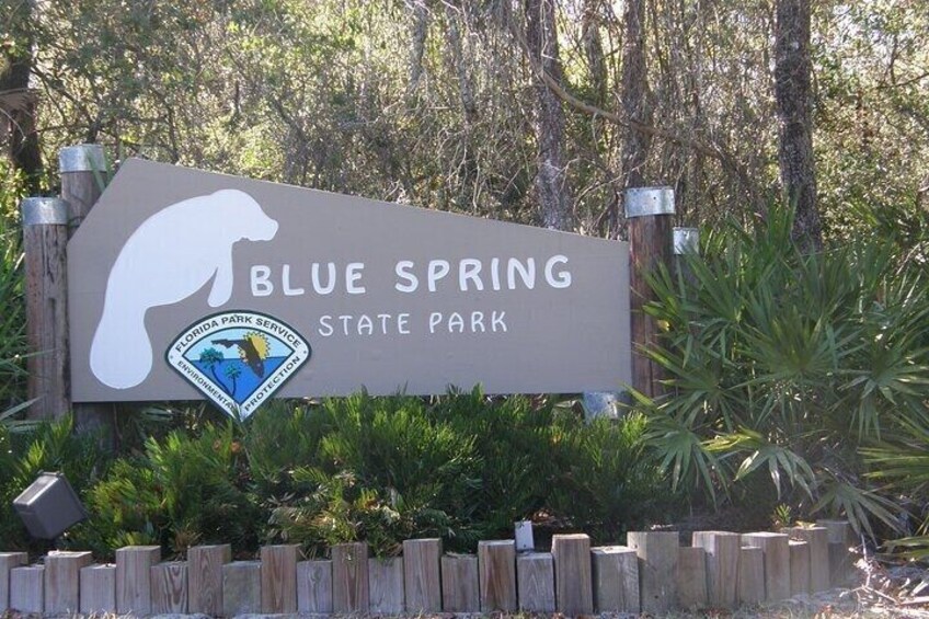 1 Hr St. Johns River Nature Cruise at Blue Spring State Park 3