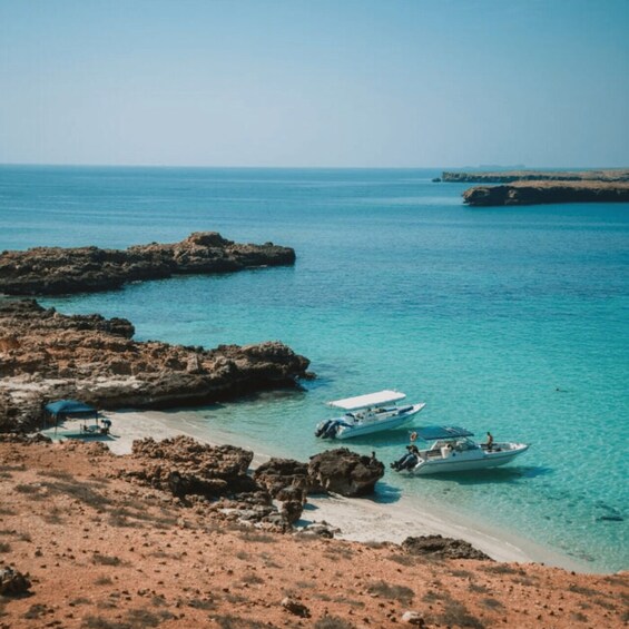 Picture 3 for Activity Oman : Snorkeling in Daymaniyat Islands 2