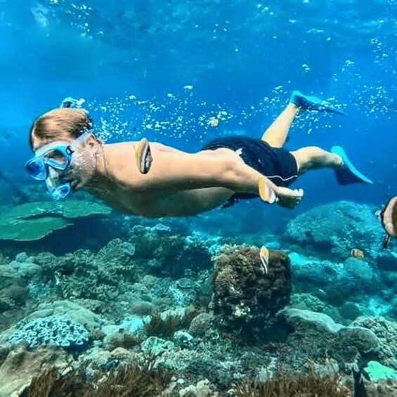 Oman : Snorkeling in Daymaniyat Islands 1