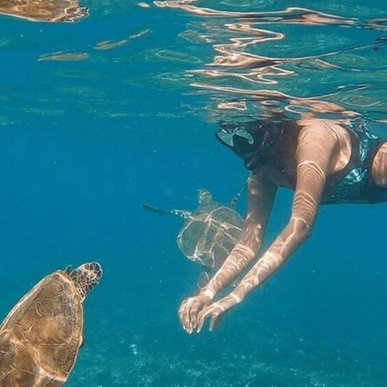 Picture 4 for Activity Oman : Snorkeling in Daymaniyat Islands 4